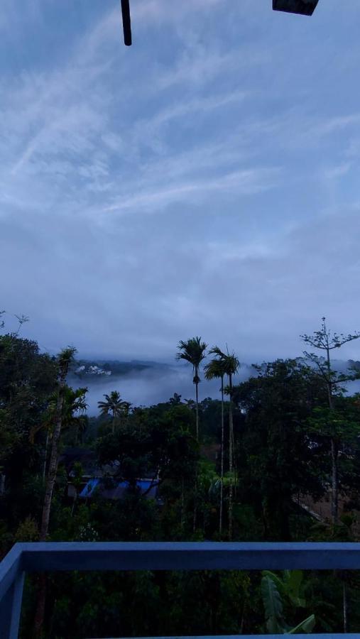 Greenpepperhomestay Munnar Anaviratty Extérieur photo