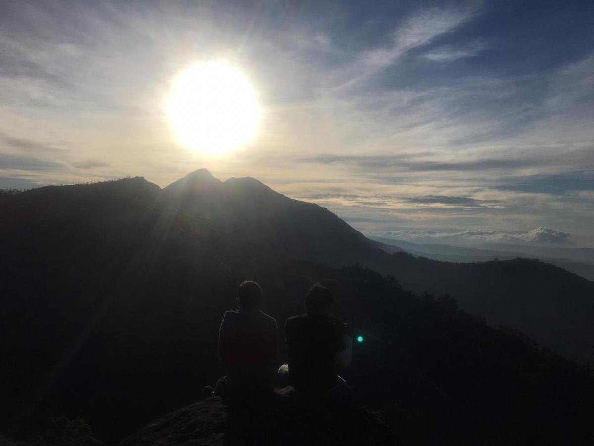 Greenpepperhomestay Munnar Anaviratty Extérieur photo