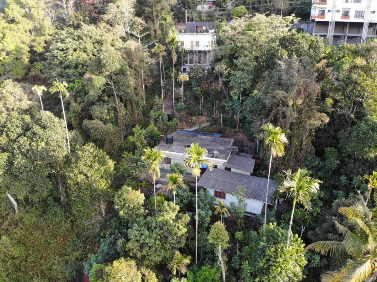 Greenpepperhomestay Munnar Anaviratty Extérieur photo