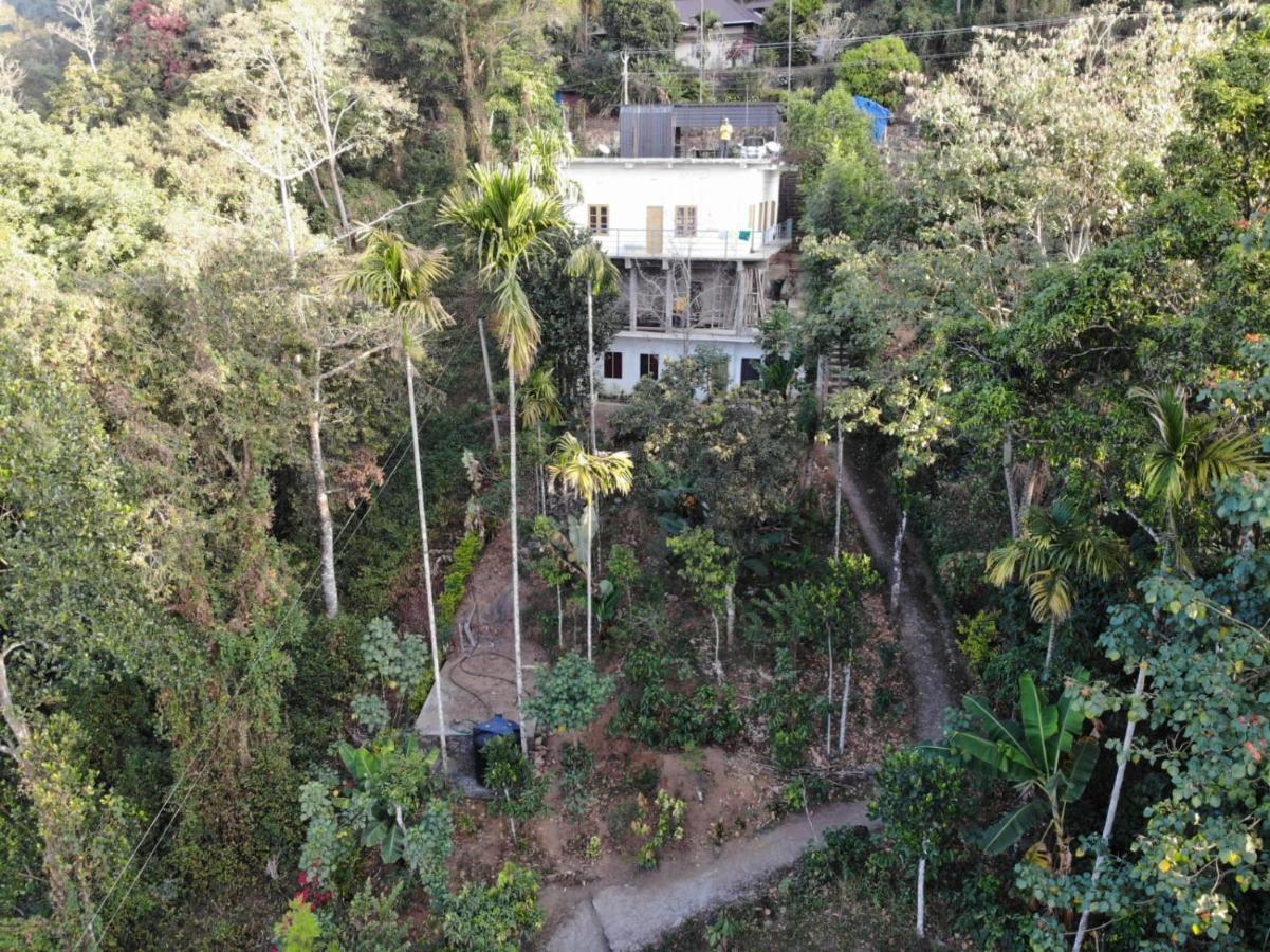 Greenpepperhomestay Munnar Anaviratty Extérieur photo